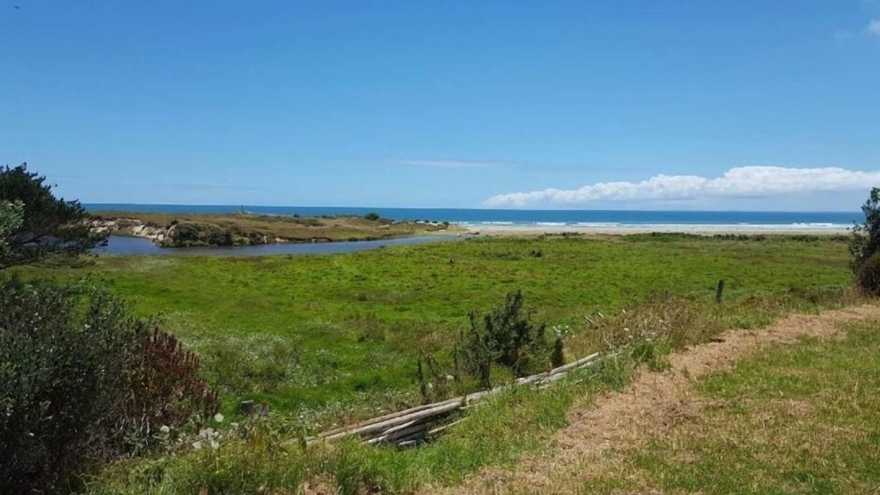 Photo of Outdoor in Ahipara