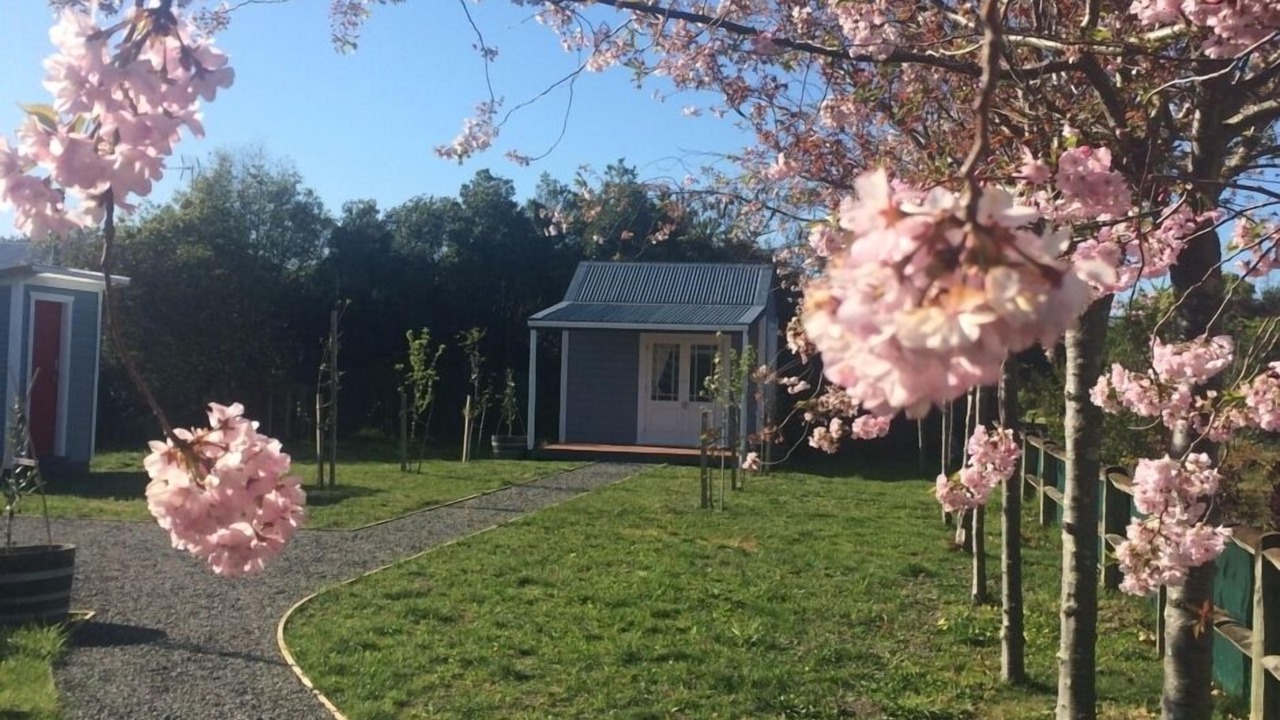 Photo of Others in Martinborough