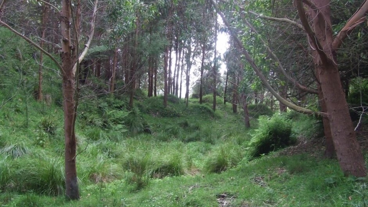 Photo of Others in Waverley