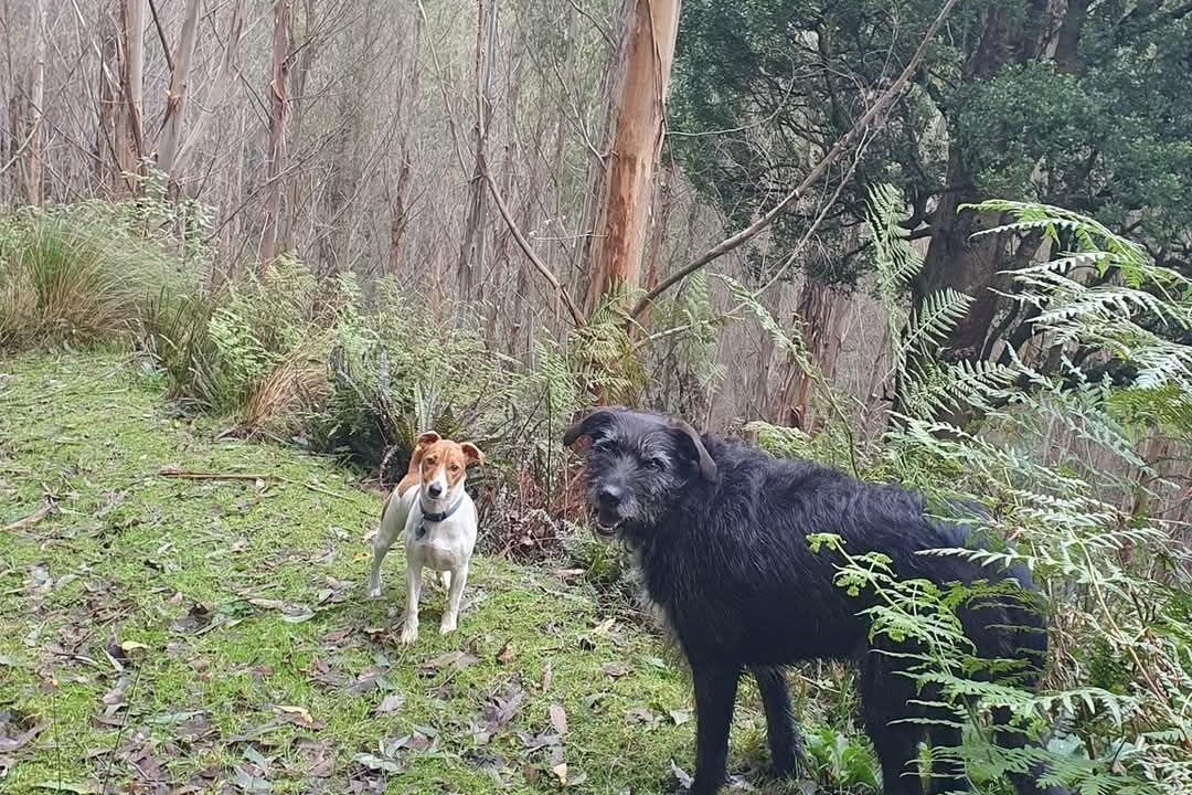 Photo of Others in Waverley