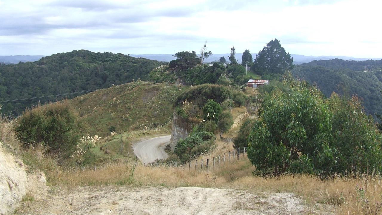 Photo of Others in Waverley