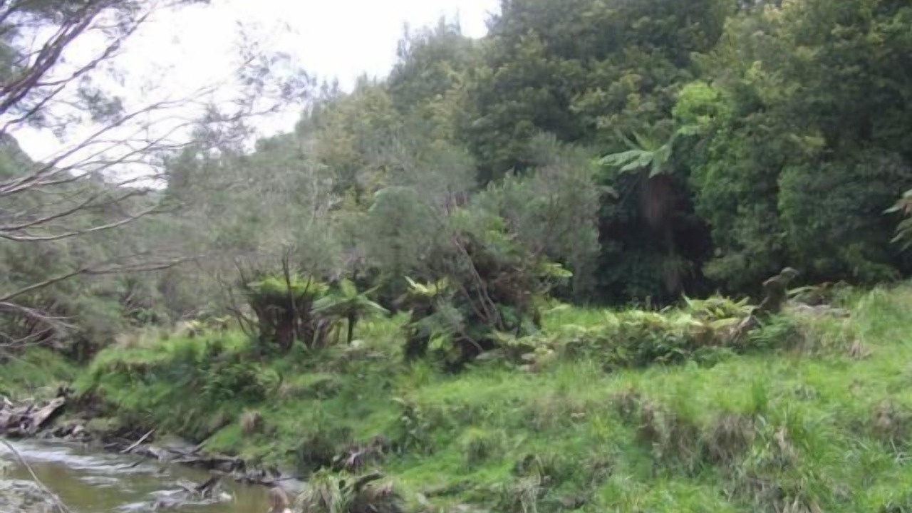 Photo of Others in Waverley