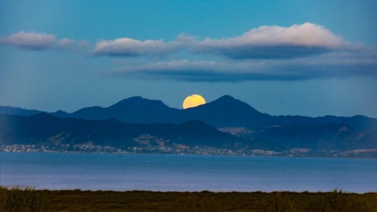 Photo of Others in Miranda