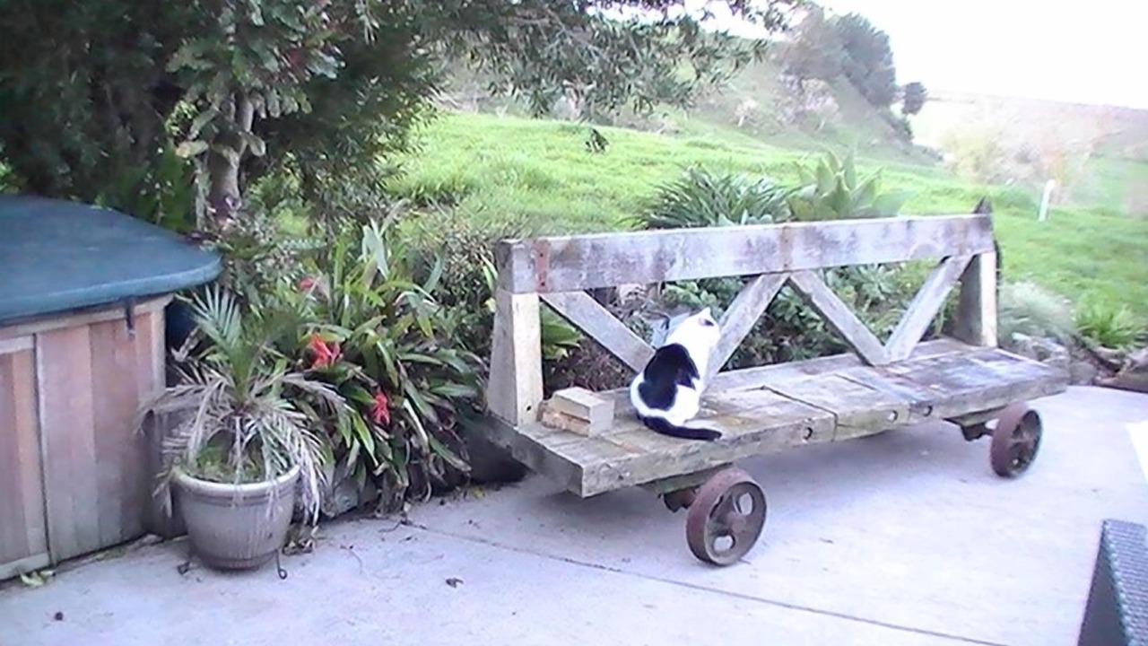 Photo of Others in Miranda