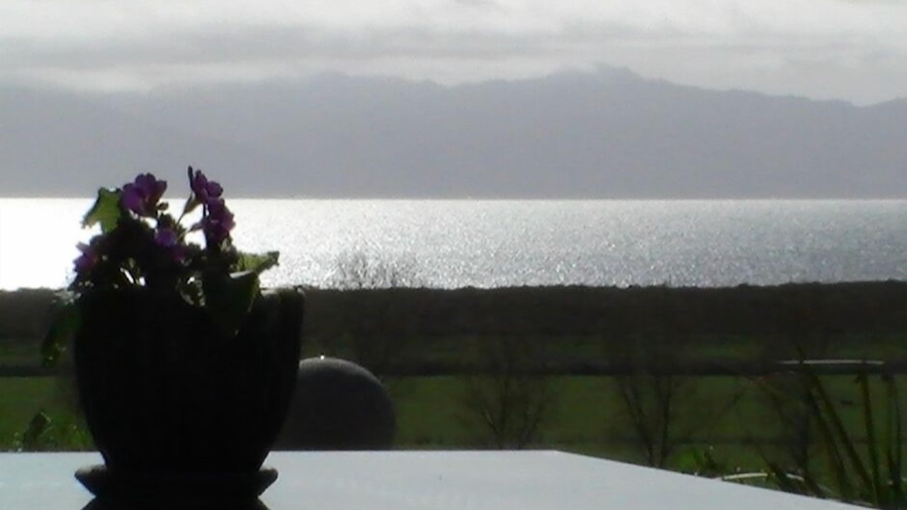 Photo of Others in Miranda