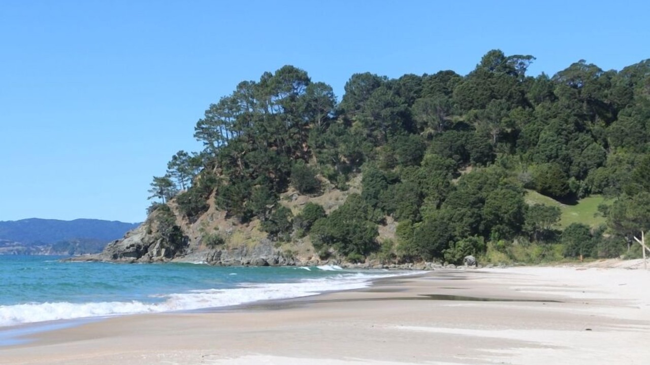 Photo of Others in Whangapoua