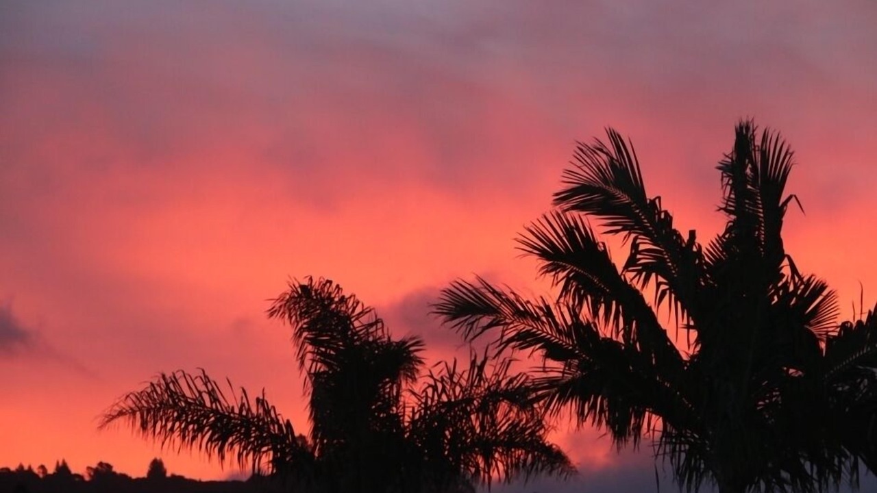 Photo of Others in Whangapoua