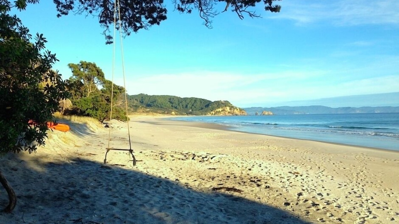 Photo of Others in Opito Bay