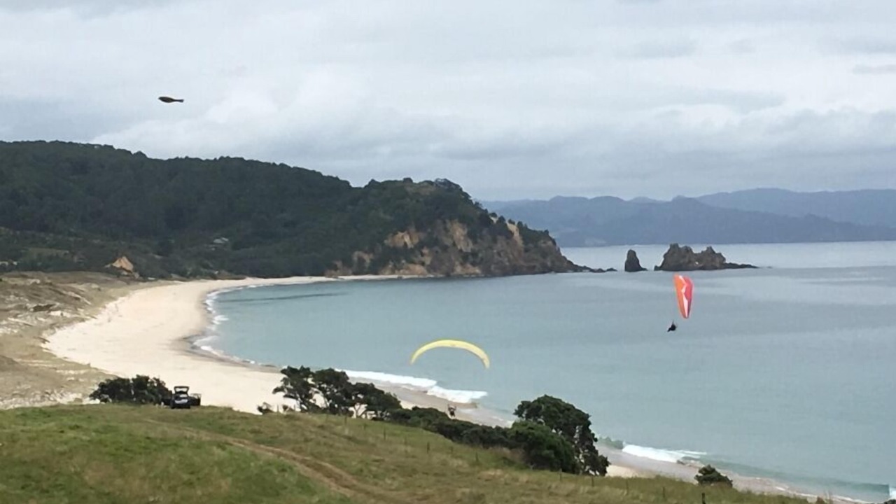 Photo of Others in Opito Bay