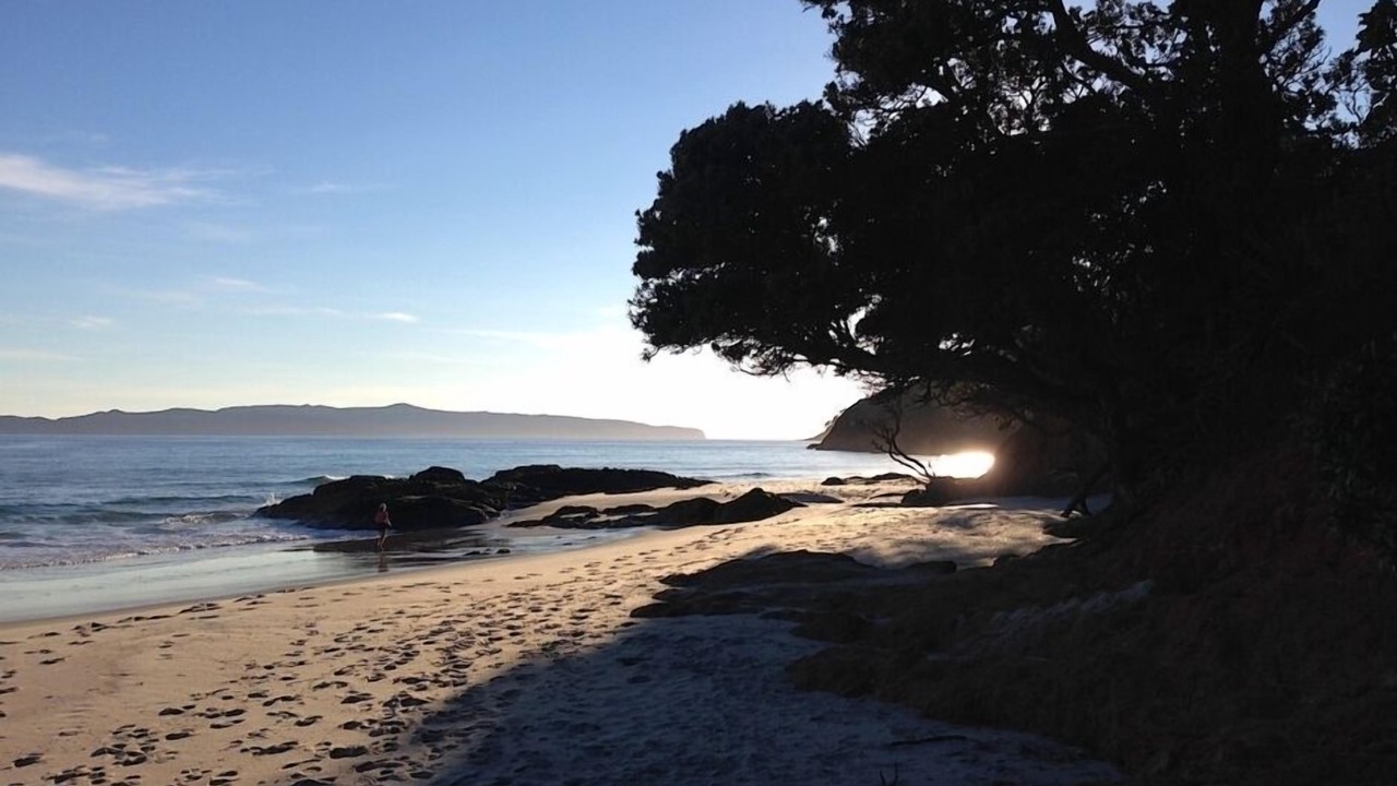 Photo of Others in Opito Bay