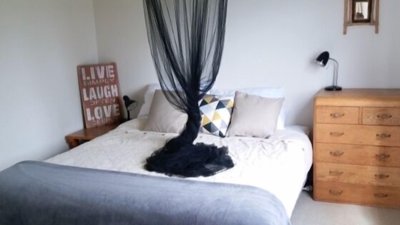 Photo of Others in Opito Bay