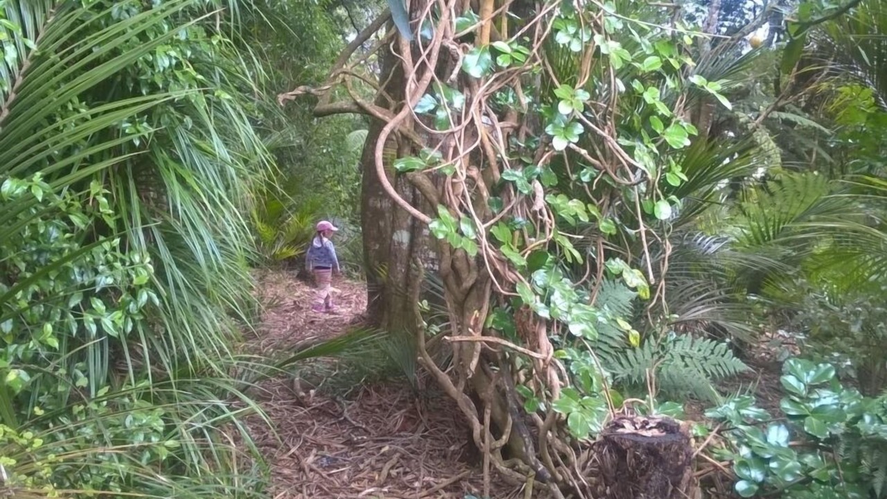 Photo of Others in Otorohanga District