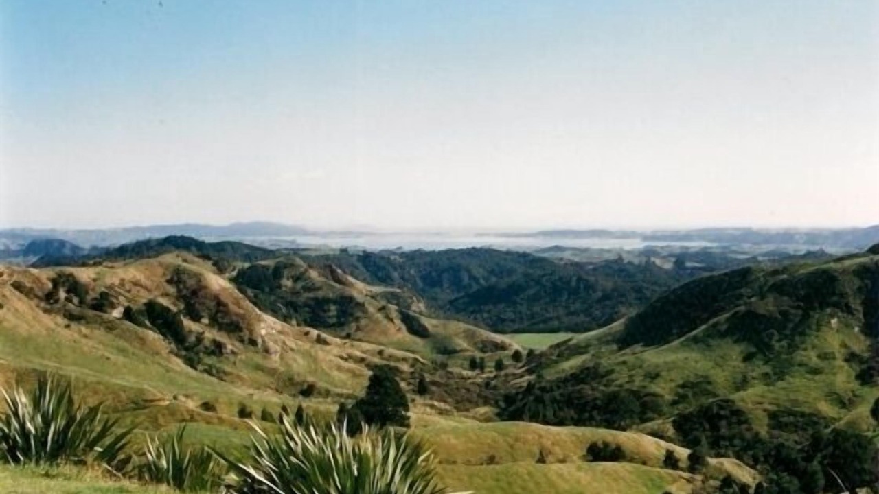 Photo of Others in Otorohanga District