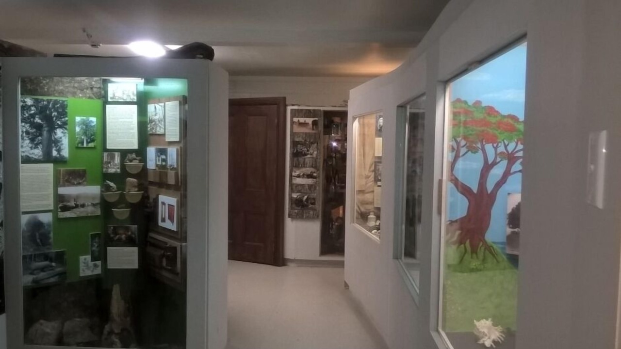 Photo of Others in Otorohanga District