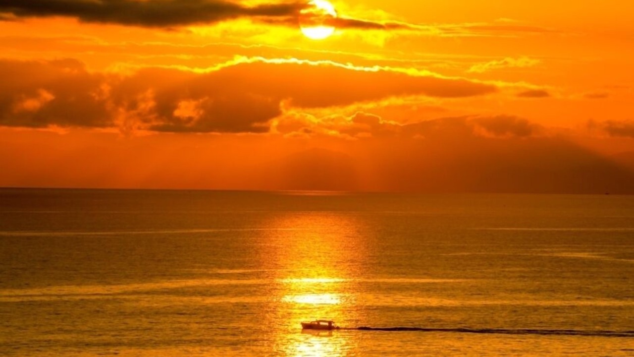 Photo of Others in Ngaio Bay