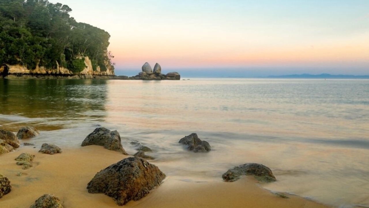 Photo of Others in Ngaio Bay