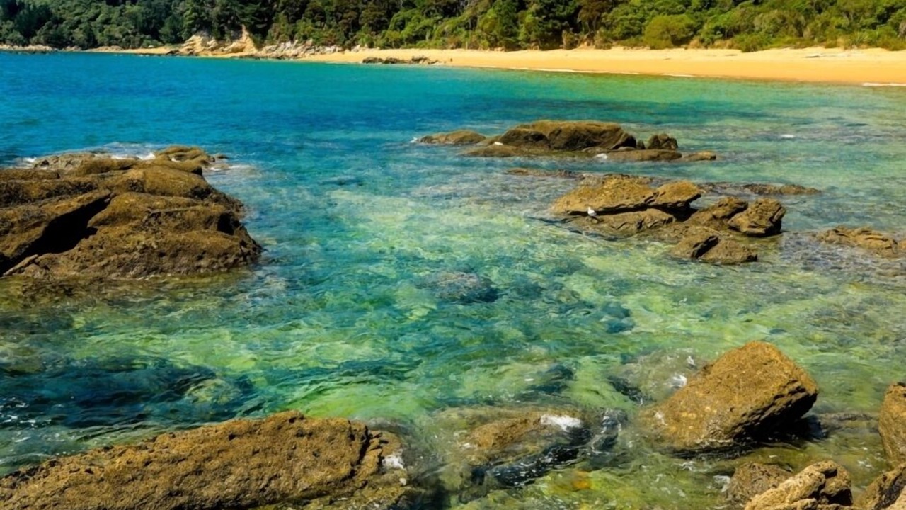 Photo of Others in Ngaio Bay