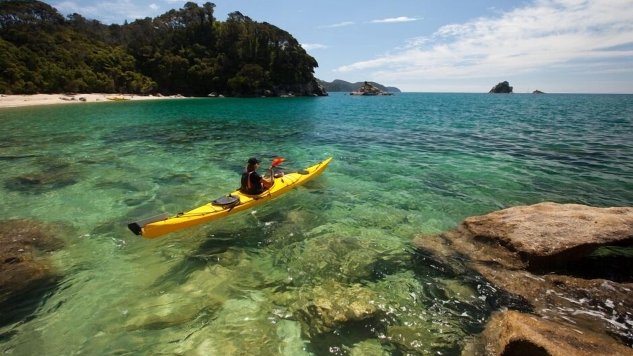 Photo of Others in Ngaio Bay
