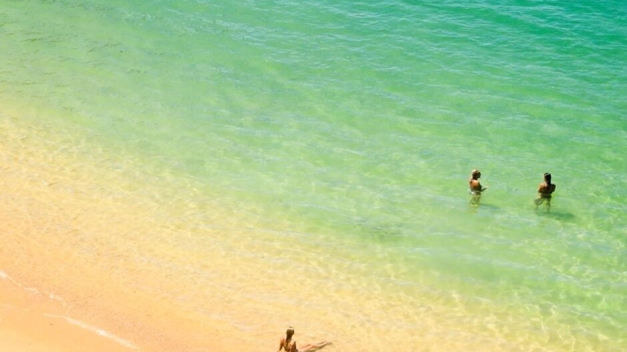 Photo of Others in Ngaio Bay