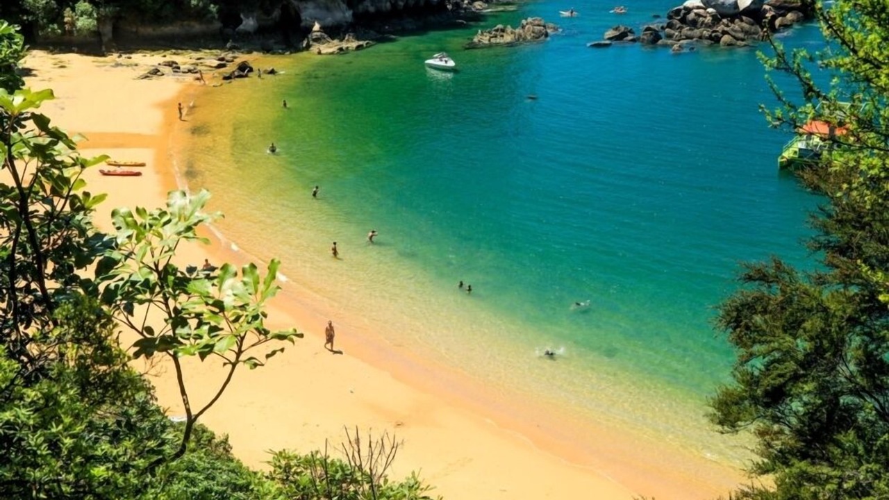 Photo of Others in Ngaio Bay