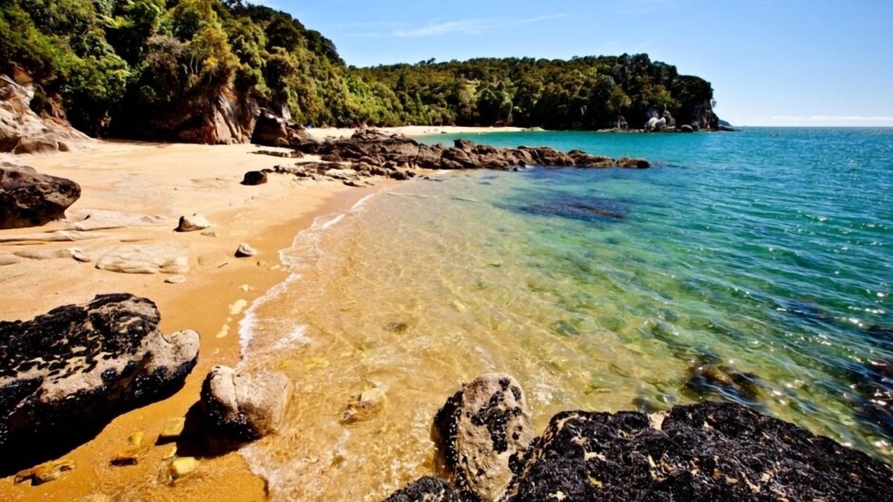 Photo of Others in Ngaio Bay