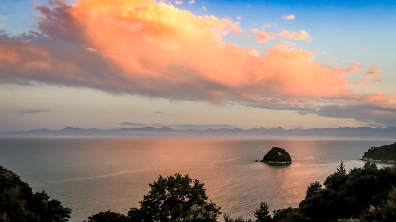 Photo of Others in Ngaio Bay