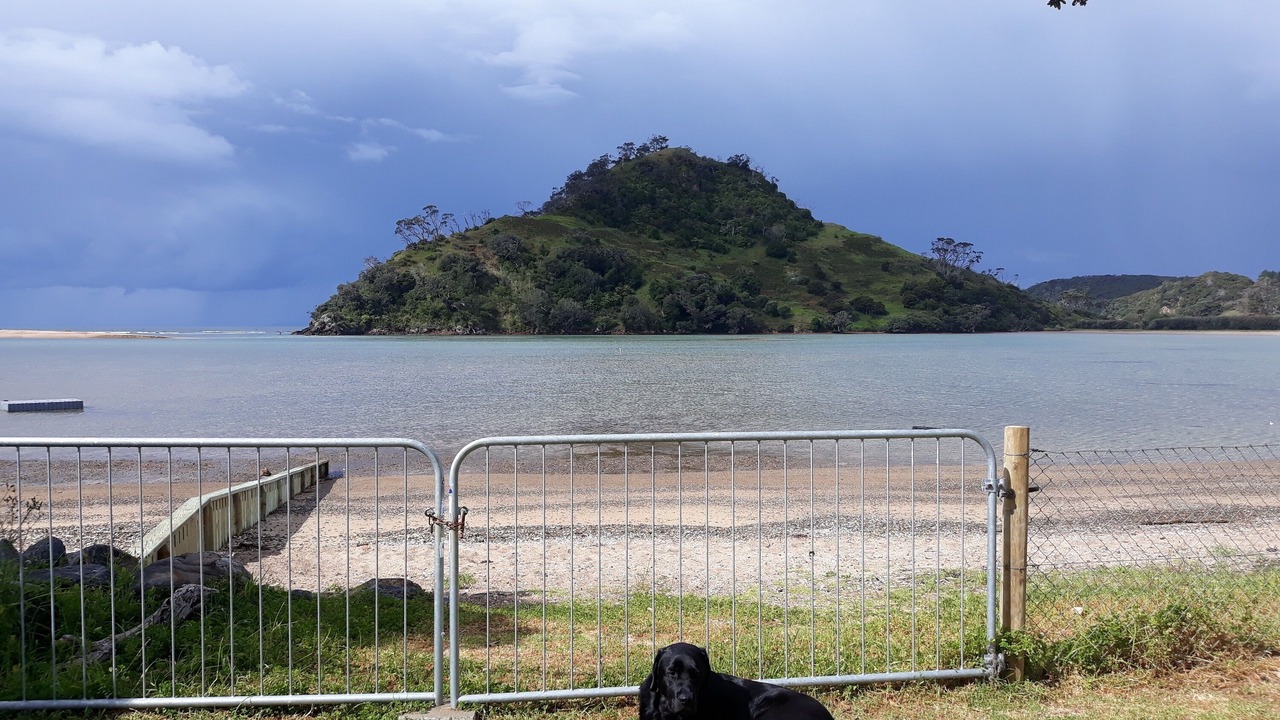 Photo of Others in Pataua