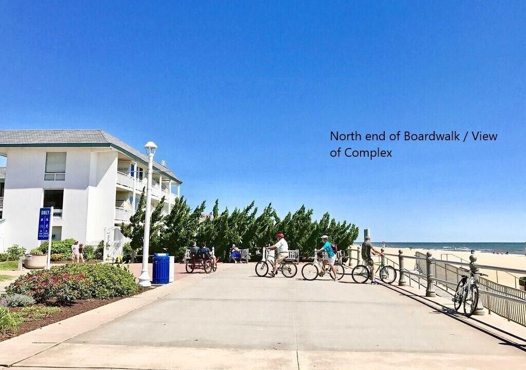 Photo of Others in Northeast Virginia Beach