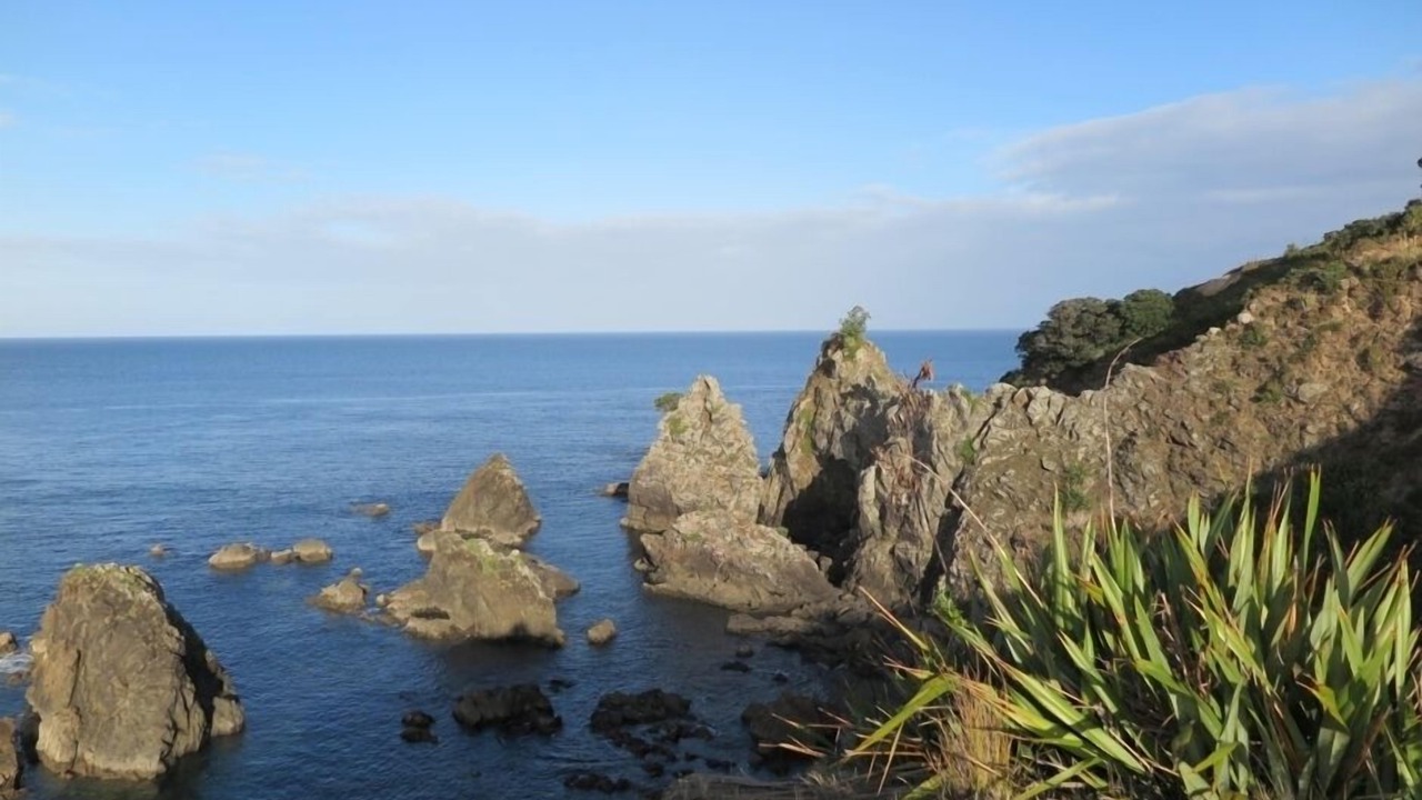 Photo of Others in Tawharanui