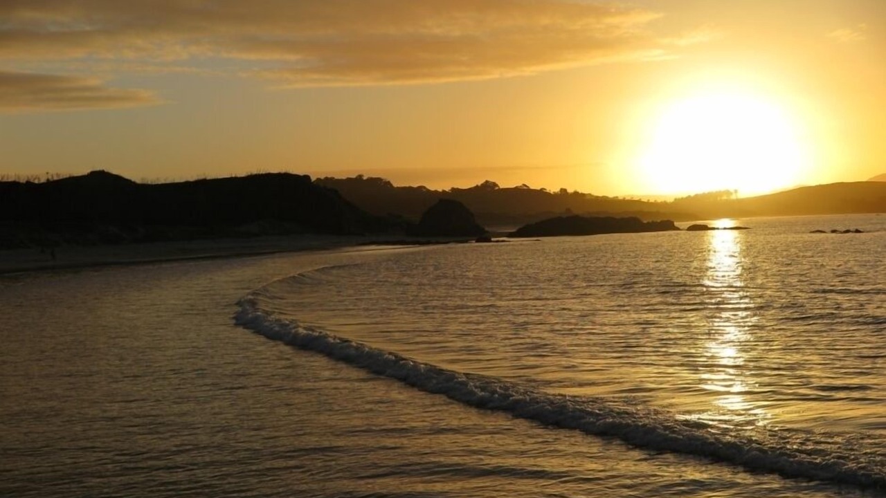 Photo of Others in Tawharanui