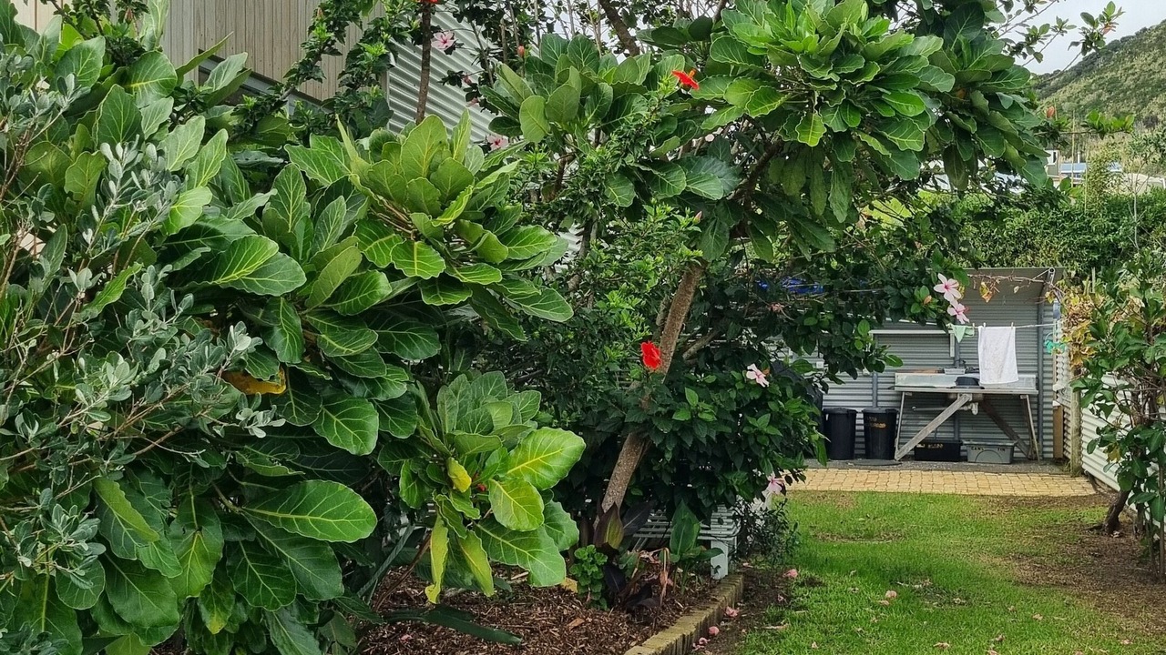 Photo of Outdoor in Ahipara