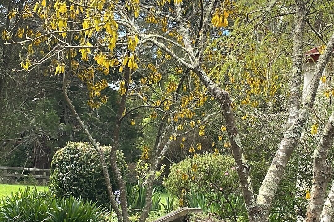 Photo of Outdoor in Wanstead