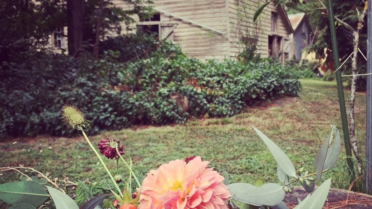 Photo of Outdoor in Wanstead