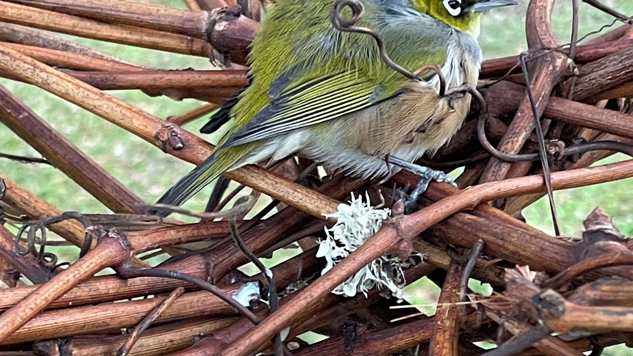 Photo of Others in Wanstead