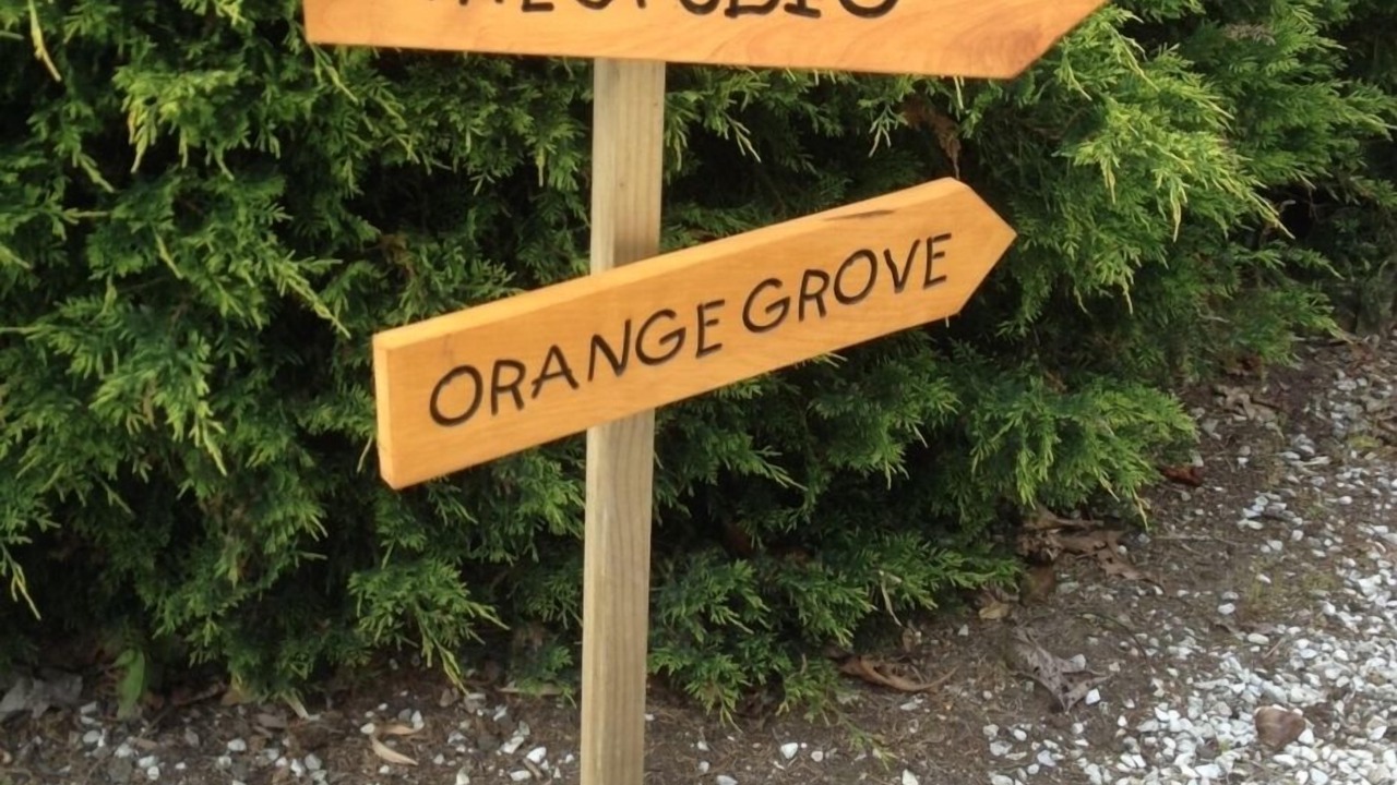 Photo of Others in Tikitere