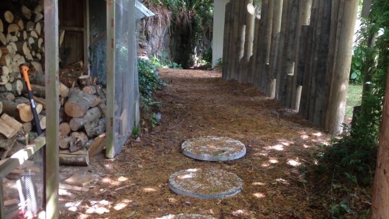 Photo of Others in Tikitere