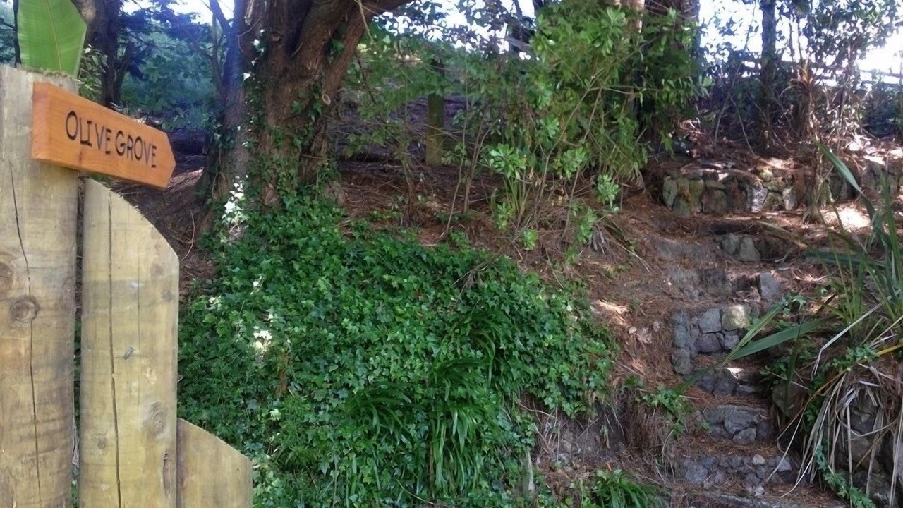 Photo of Others in Tikitere