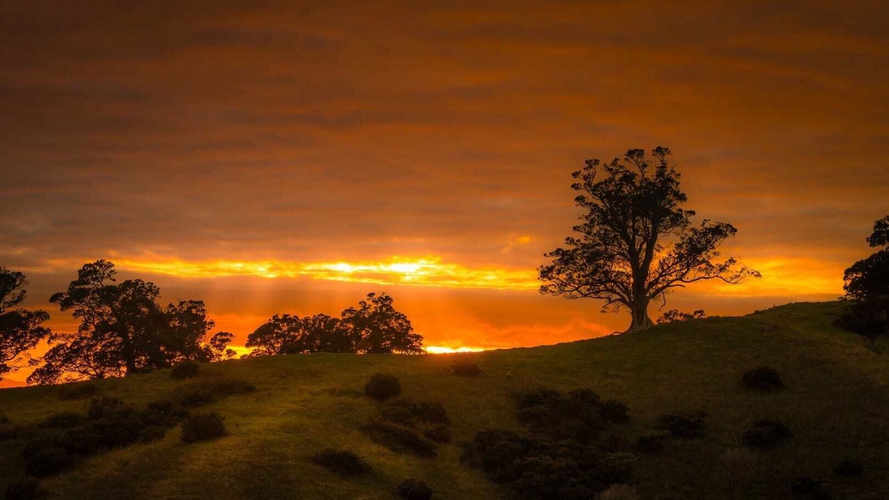Photo of Others in Ostend