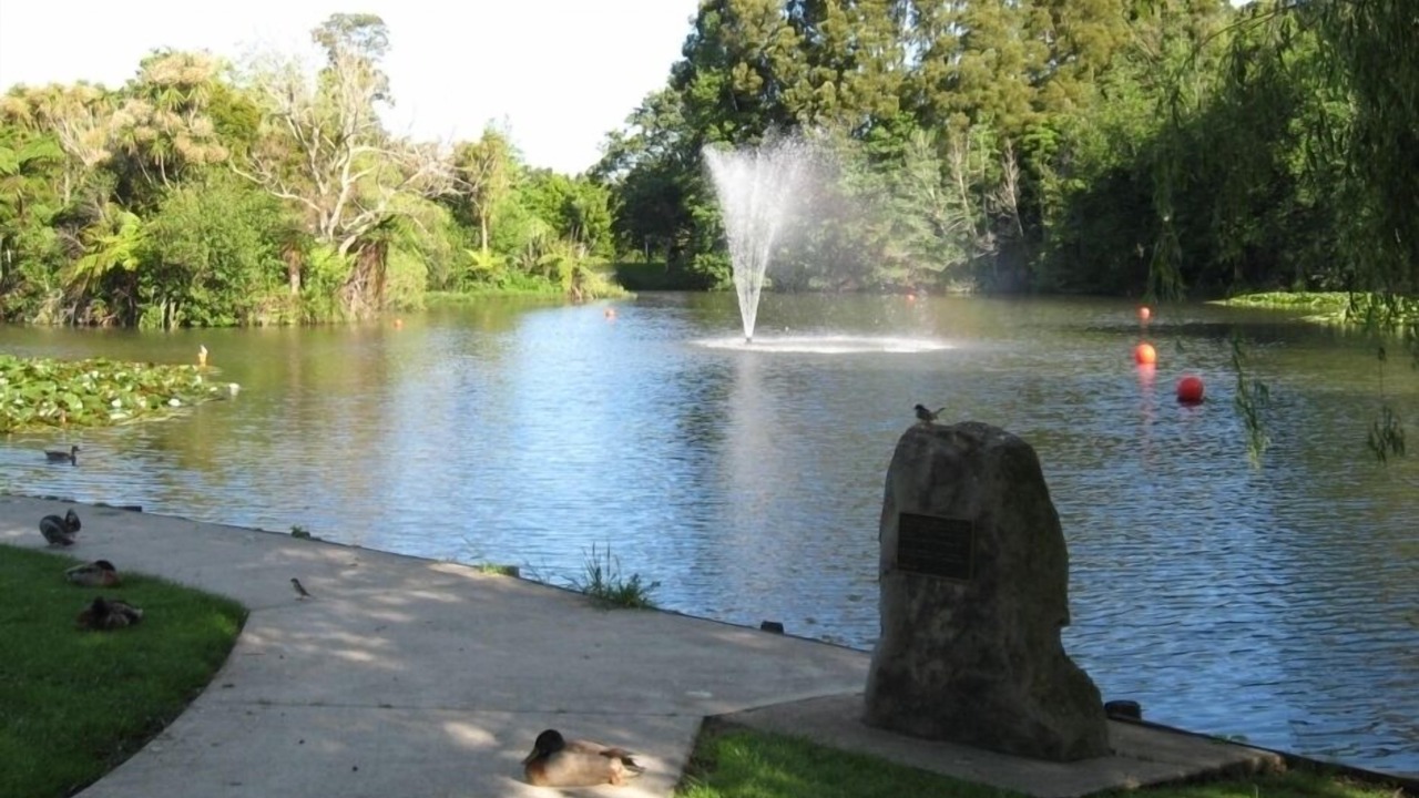 Photo of Others in Waihi