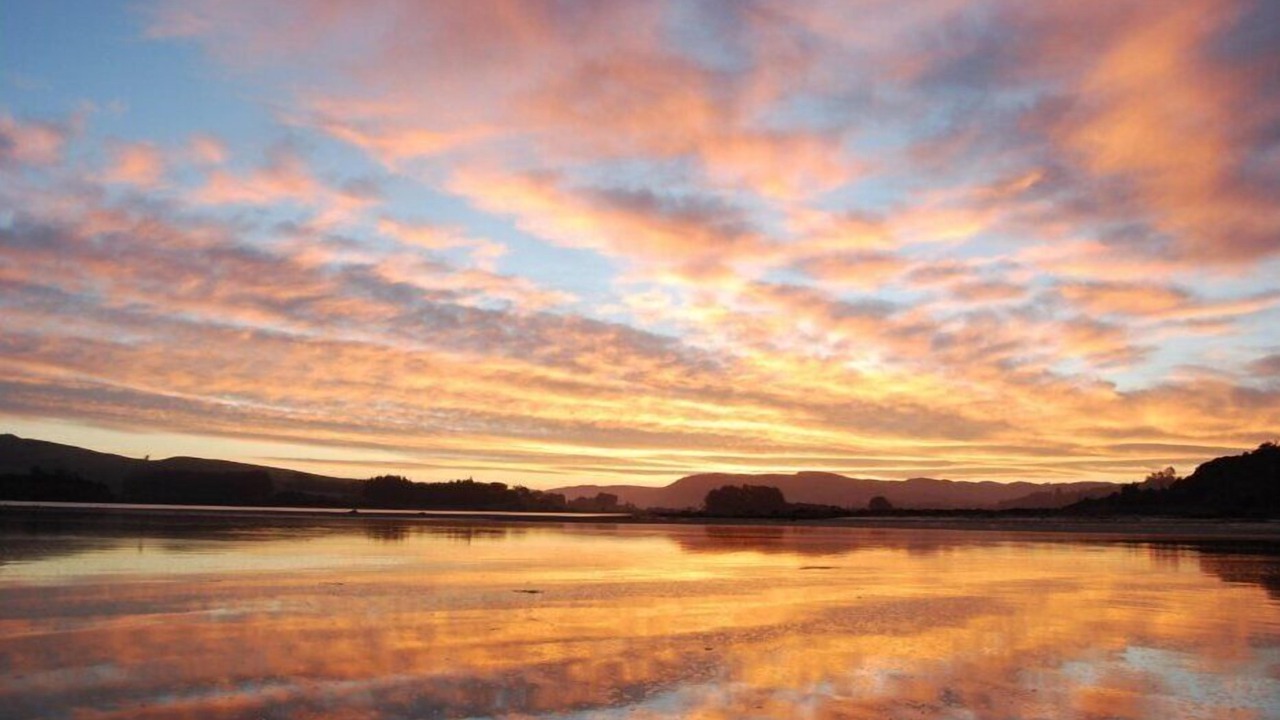 Photo of Others in Pounawea