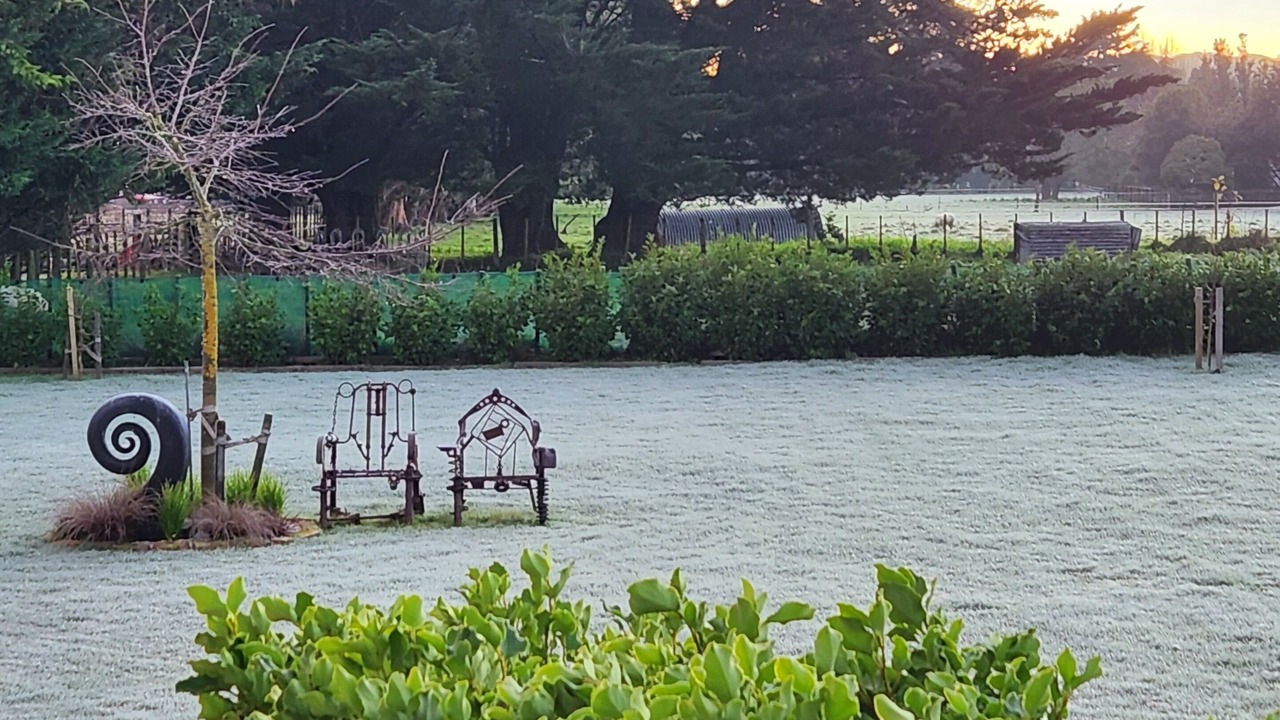 Photo of Others in Martinborough