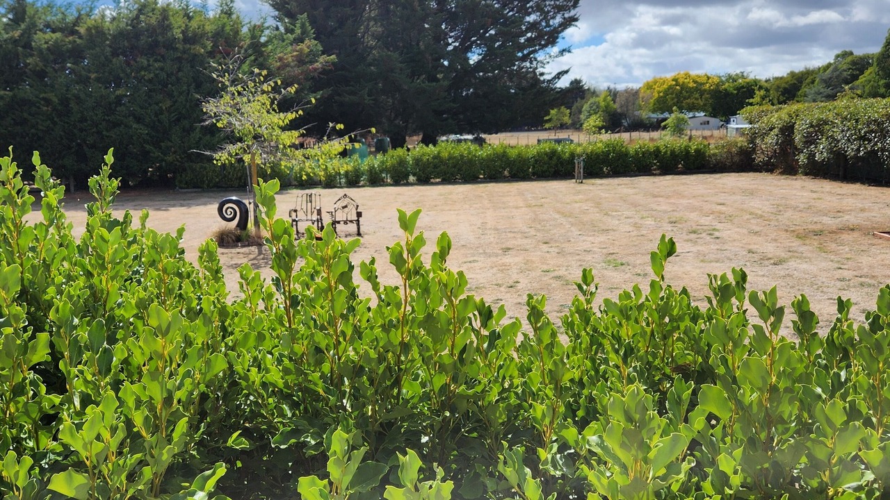 Photo of Outdoor in Martinborough