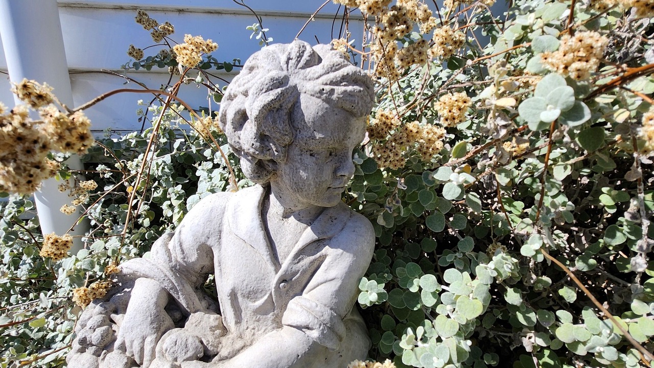 Photo of Outdoor in Martinborough