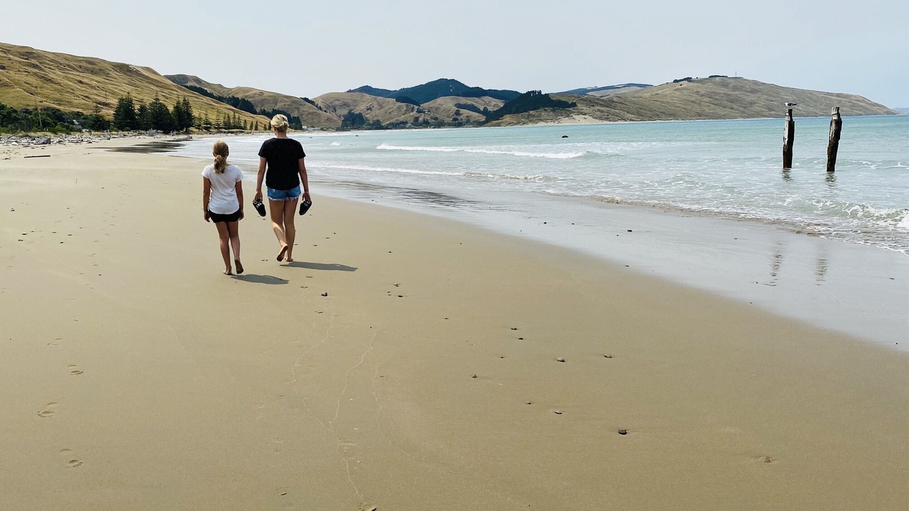 Photo of Others in Akitio