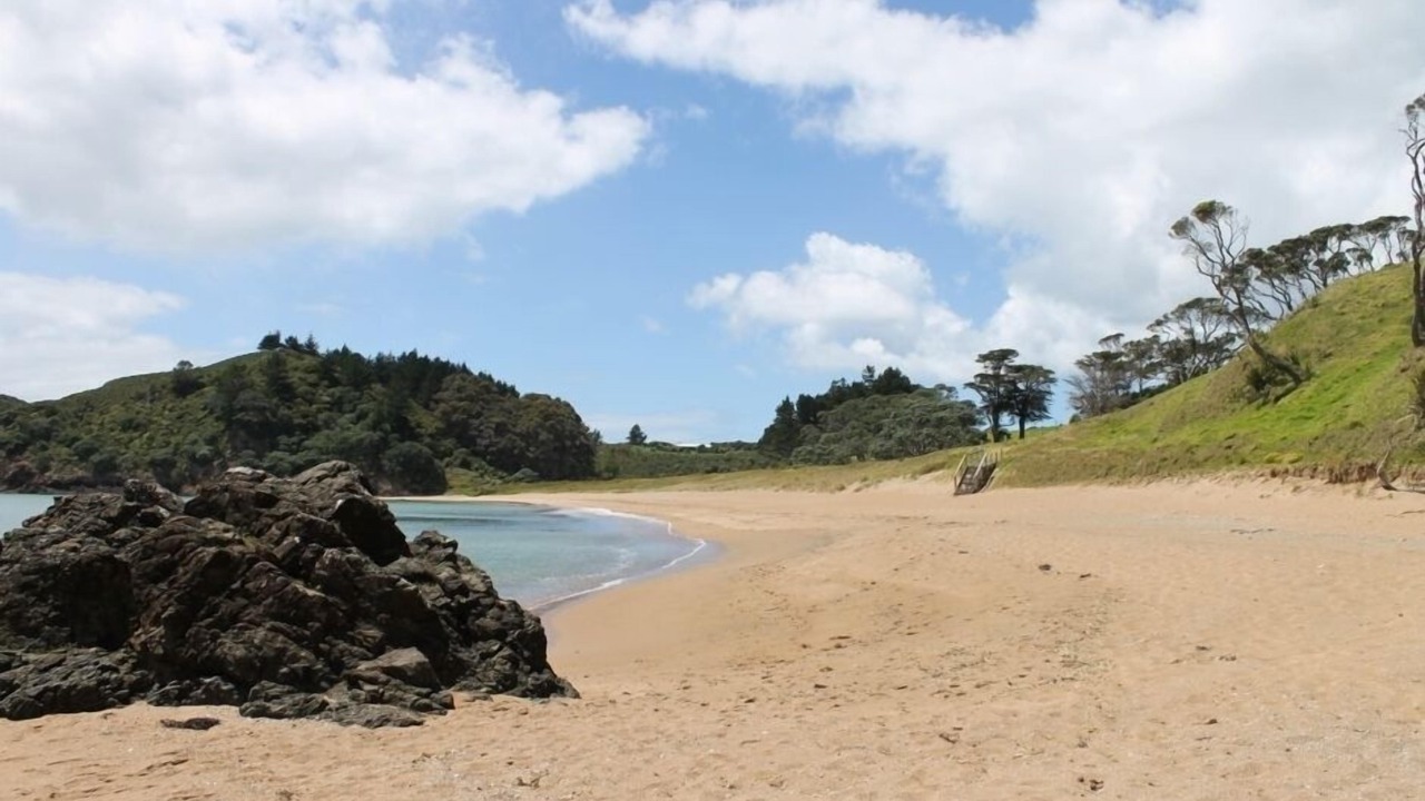 Photo of Others in Pataua