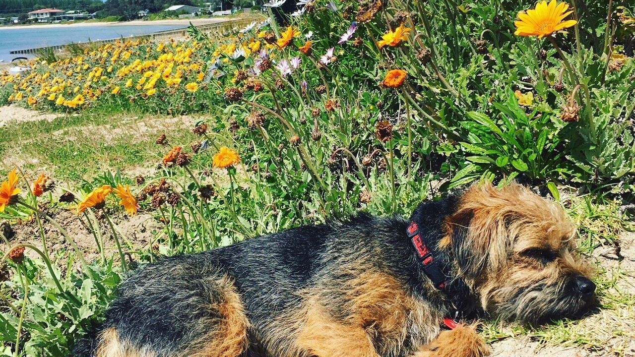 Photo of Others in Pataua