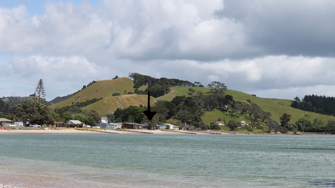 Photo of Others in Pataua