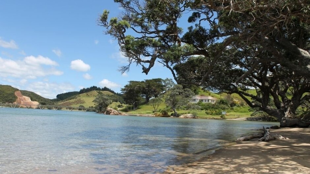 Photo of Others in Pataua