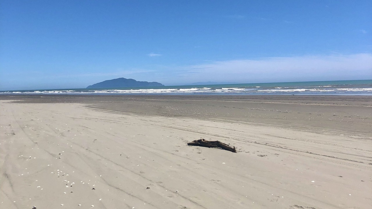 Photo of Others in Otaki Beach