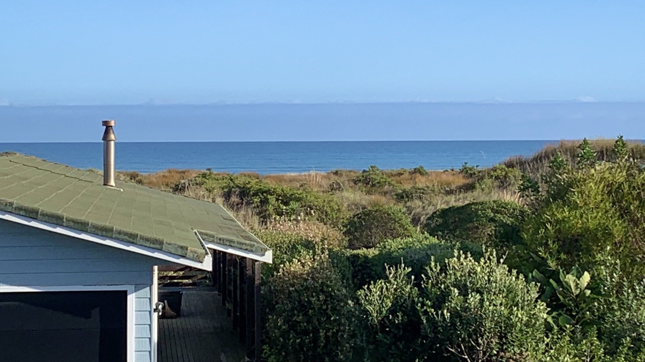 Photo of Outdoor in Otaki Beach